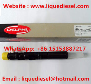 China DELPHI Original Injector EJBR06101D , R06101D , FB3001112100011 , FB300-1112100-011 YUCHAI supplier