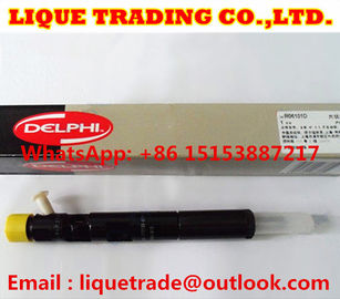 China DELPHI Injector EJBR06101D , R06101D , FB3001112100011 , FB300-1112100-011 Fit Yuchai supplier