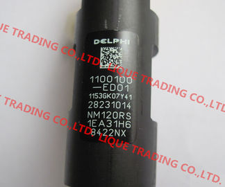 China DELPHI common rail injector 28231014 for Great Wall Hover H6 1100100-ED01 supplier