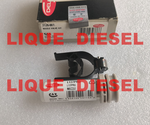 China DELPHI nozzle valve kit 7135-661 7135 661 7135661 DELPHI NOZZLE 137PRD +CONTROL VALVE 28538389 / 9308-621C supplier