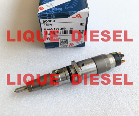 China BOSCH Common Rail Injector 0445120250 0 445 120 250 445120250 0445 120 250 supplier