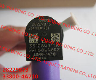 China DELPHI injector 28229873 / 33800-4A710 Common rail injector 28229873 / 33800-4A710 / 338004A710 for HYUNDA KIA supplier
