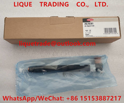 China DELPHI Common rail injector 28236381 , 33800-4A700 , 338004A700 , 33800 4A700 supplier