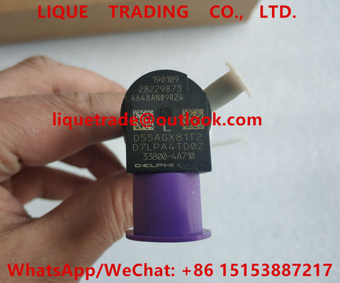 China DELPHI 28229873 / 33800-4A710 Common rail injector 28229873 / 33800-4A710 / 338004A710 for HYUNDA KIA supplier