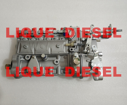 China High pressure fuel injection pump assembly 3976801 6A125A WEIFU supplier