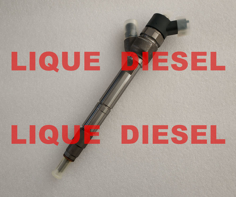 China BOSCH Fuel injector 0445110899 0445110898 0 445 110 899 0 445 110 898 445110899 445110898 supplier