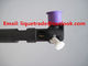 DELPHI Original Common Rail Injector 28229873 / 338004A710/33800-4A710 for KIA / STAREX supplier