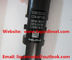 DELPHI injector EJBR04701D EJBR03401D for SSANGYONG A6640170221 A6640170021,6640170221 supplier