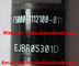 EJBR05301D Original Common Rail injector EJBR05301D for YUCHAI F50001112100011 supplier