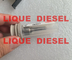DELPHI nozzle valve kit 7135-661 7135 661 7135661 DELPHI NOZZLE 137PRD +CONTROL VALVE 28538389 / 9308-621C supplier