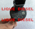 BOSCH Fuel pump pressure regulator, DRV 0281002500 for FIAT 9949317, IVECO 504016314, 42538165, RENAULT 5001857386 supplier