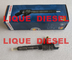 BOSCH Common rail injector 0445110454 0 445 110 454 0445 110 454 Fuel Injector 445110454 supplier