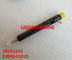 DELPHI  Common rail injector 28232242 , EJBR04101D , R04101D , EJBR02101Z for 8200049876 Genuine and New supplier
