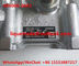 DENSO Genuine Fuel Pump 094000-0660 , 094000-0662 , 0940000662 , CW094000-06620D,  R61540080101 , 61540080101 supplier