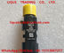 DELPHI INJECTOR 28317158 , 32006881 , 320-06881, 32006881 Common rail injector 28317158, 32006881, 320-06881, 320/06881 supplier