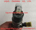 BOSCH Common rail injector 0445110454 , 0 445 110 454 , 0445 110 454 Fuel Injector 445110454 supplier