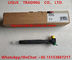 DELPHI Common rail injector 28342997, A6510704987, 6510704987 for Mercedes Benz supplier