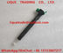 DELPHI Common Rail Injector  28271551 , A6510702887 , 28348370 , 6510702887 for Mercedes Benz supplier