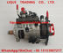 DELPHI DP210 diesel fuel pump 9323A350G, 9320A210G, 9320A215G, 9320A217G for PERKINS 2644H013, CAT 236-8228, 248-2356 supplier