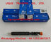 DELPHI Common Rail Injector EJBR03701D , EJBR02901D , R03701D for HYUNDAI &amp; KIA 338014X810, 338004X800 supplier