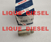 Bosch pressure relief vlve F00R000756 , F 00R 000 756 for IVECO and RENAULT 5001858409 5001585409 supplier