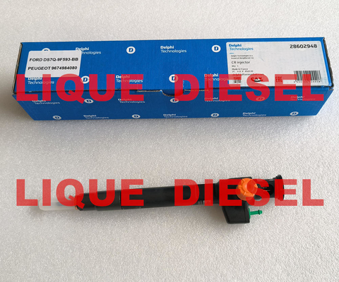 China DELPHI Common Rail Injector 28602948 9674984080 28388960 28319895 supplier