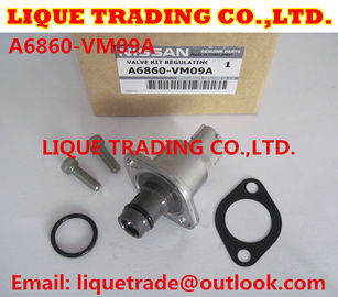 China Genuine overhaul kits 294200-0360 294009-0250 for MITSUBISHI 1460A037, NISSAN A6860-VM09A supplier