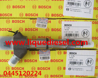 China BOSCH 0 445 120 224 Genuine common rail injector 0445120224,0445120170 for WEICHAI WP10 612600080618 supplier