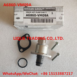 China Genuine overhaul kits A6860-VM09A ,  NISSAN A6860VM09A , include valve 294200-0360 supplier