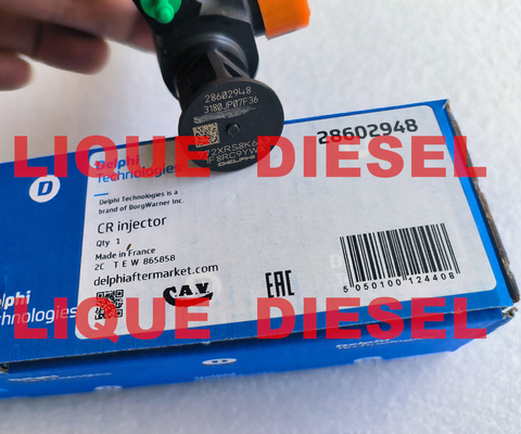 China DELPHI Common Rail Injector 28602948 9674984080 28388960 28319895 supplier