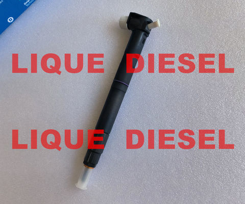 China DELPHI Common rail injector 28489548 25195089 = 28264951 25183186 100% Genuine and new. supplier