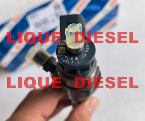 China BOSCH Common rail injector 0445110646 0445110369 0445110647 0 445 110 646 0445110 646 supplier