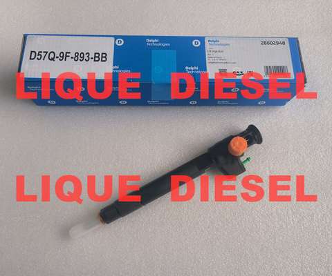 China DELPHI Common Rail Injector 28602948 9674984080 28388960 D57Q-9F-893-BB D57Q9F893BB supplier