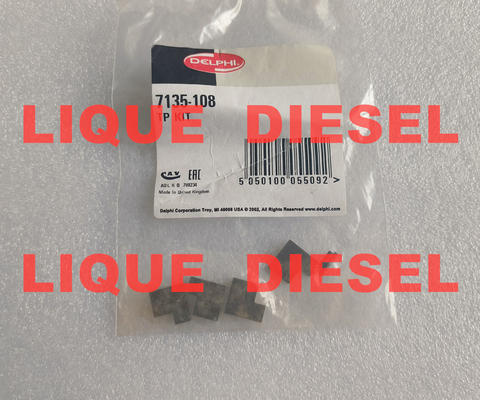 China DELPHI transfer pump blade 7135-108 7135108 7135 108 TP KIT supplier
