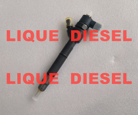 China BOSCH Fuel injector 0445110255 0445110256 33800-2A400 0 445 110 255 0 445 110 256 338002A400 for HYUNDAI & KIA supplier