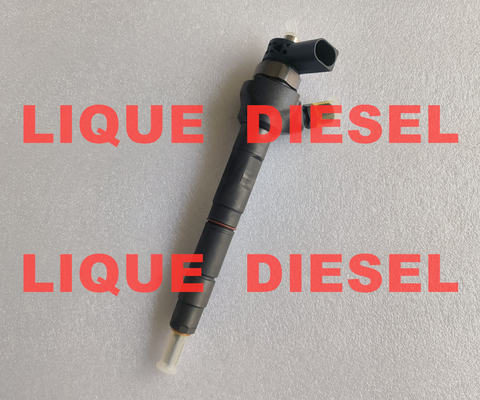 China BOSCH Fuel Injector 0445110646 0445110369 0445110647 0 445 110 646 0445110 646 0 445 110 369 0 445 110 647 supplier