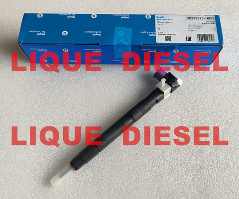 China INJECTOR 33800-4A710 28229873 DELPHI Common Rail fuel injector 33800-4A710 28229873 for HYUNDA KIA 33800 4A710 338004A710 supplier