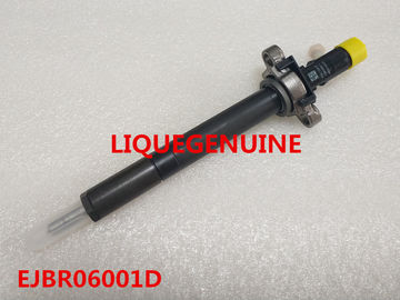 China DELPHI Original and New Fuel injector EJBR06001D , R06001D , 9688438580 supplier