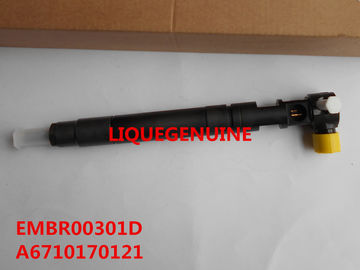 China DELPHI Common rail injector EMBR00301D , R00301D SSANGYONG Korando injector 6710170121 , A6710170121 supplier