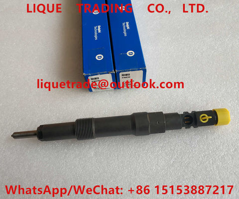 China DELPHI INJECTOR R01001D , EJDR01001D Genuine Fuel injector R01001D , EJDR01001D supplier