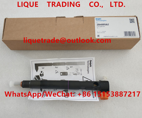 China DELPHI Common rail injector 28489562 / 25195088 , 28264952 / 25183185 supplier