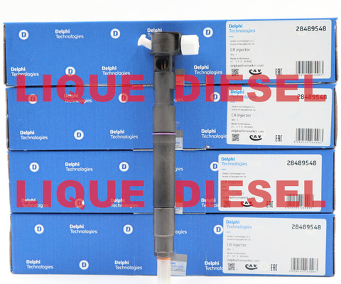 China DELPHI Common rail injector 28489548  25195089 , 28264951  25183186 supplier