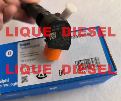 DELPHI Common Rail fuel injector 28489562 25195088 , 28264952 25183185 supplier