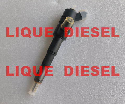 BOSCH common rail fuel injector 0445110560 0 445 110 560 0445 110 560 supplier