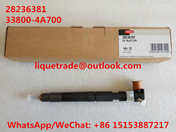 DELPHI INJECTOR 28236381 / 33800-4A700 Common rail injector 28236381 / 338004A700 for HYUNDAI Starex supplier