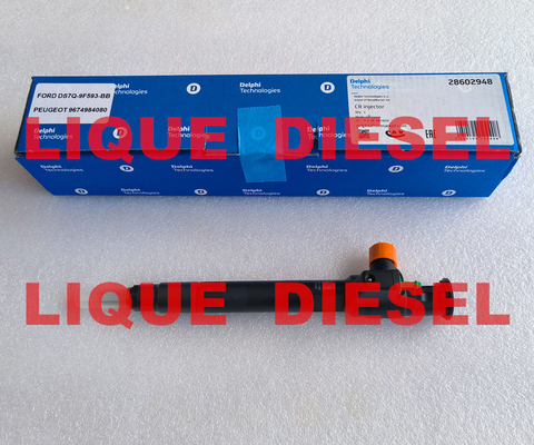 DELPHI Common Rail Injector 28602948 9674984080 28388960 28319895 supplier