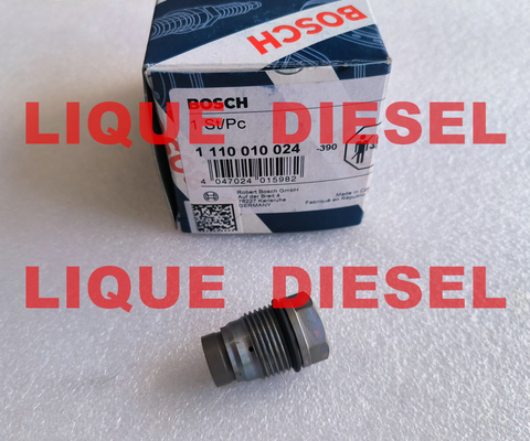 BOSCH Pressure Relief Valve 1110010024 , 1 110 010 024 supplier