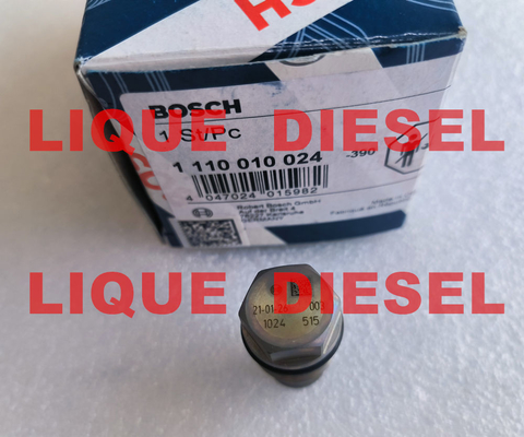 BOSCH Pressure Relief Valve 1110010024 , 1 110 010 024 supplier
