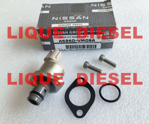 Overhaul kits A6860-VM09A A6860VM09A A6860 VM09A include valve 294200-0360 supplier
