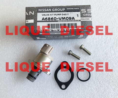 Overhaul kits A6860-VM09A A6860VM09A A6860 VM09A include valve 294200-0360 supplier